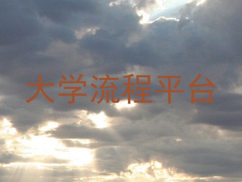 大学流程平台