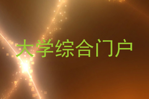 大学综合门户