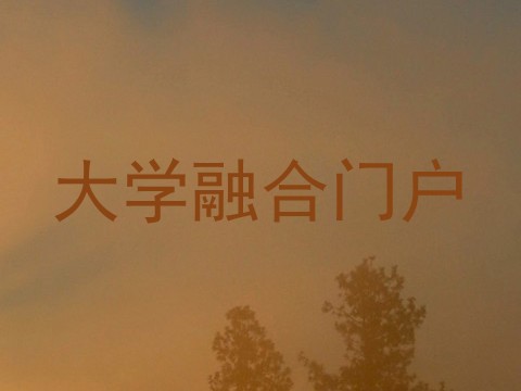 大学融合门户
