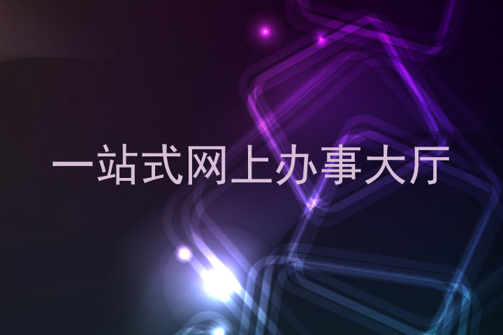 一站式网上办事大厅