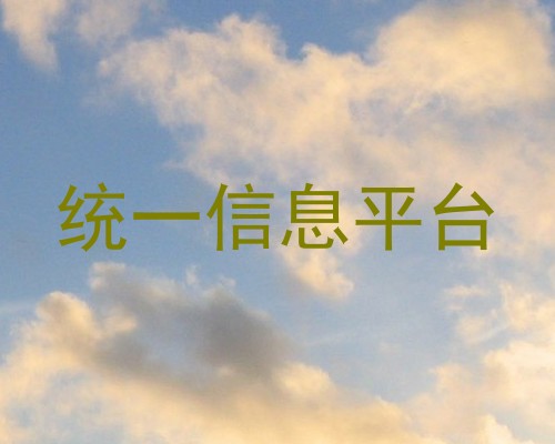统一信息平台