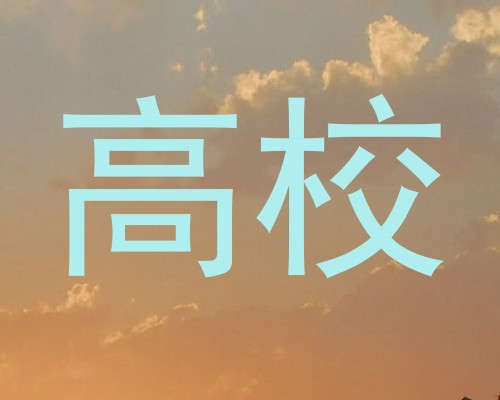高校
