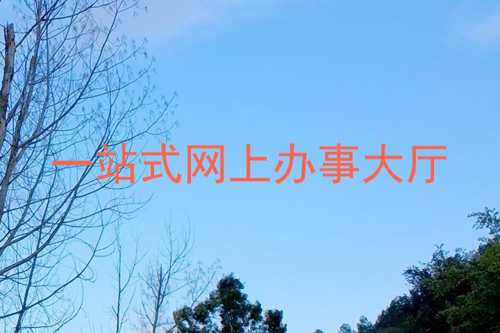 一站式网上办事大厅