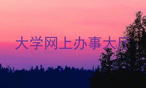 大学网上办事大厅