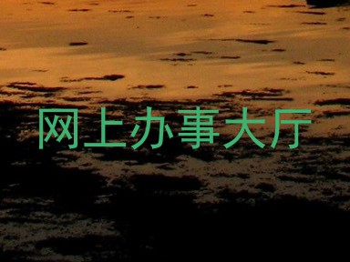 网上办事大厅