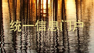 统一信息门户