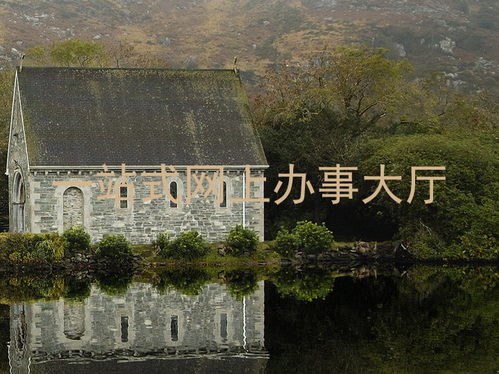 一站式网上办事大厅
