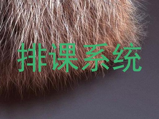 排课系统