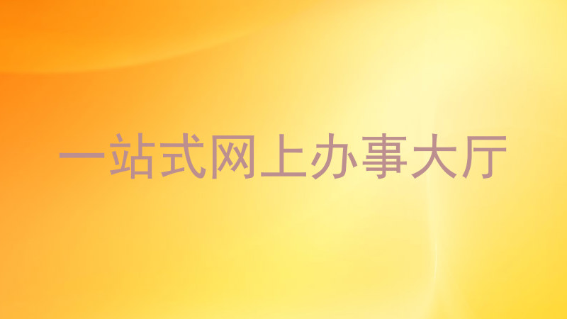 一站式网上办事大厅