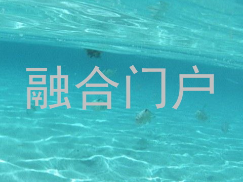 融合门户