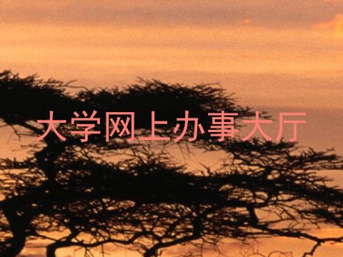 大学网上办事大厅