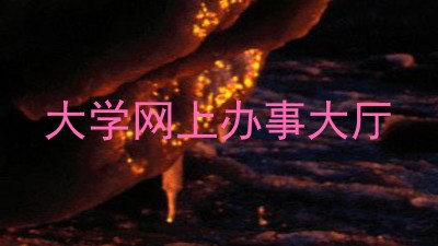 大学网上办事大厅