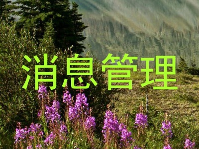 消息管理
