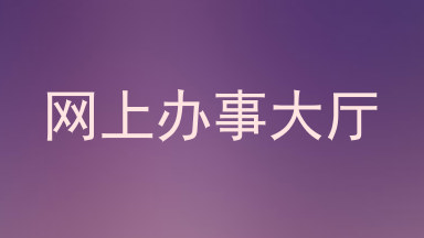 网上办事大厅