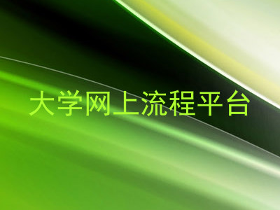大学网上流程平台