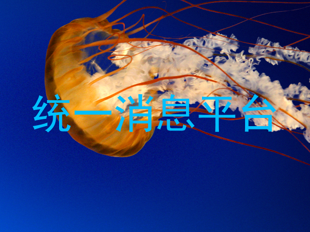 统一消息平台