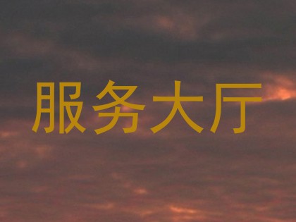 服务大厅