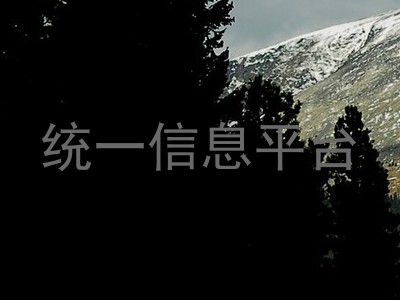统一信息平台