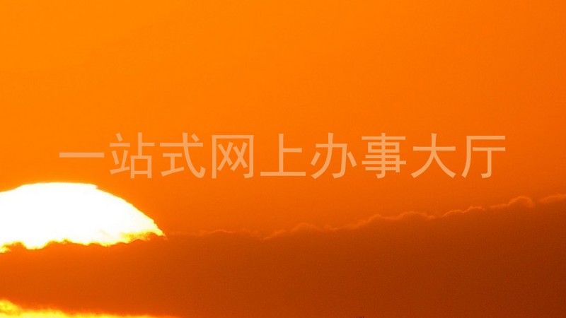 一站式网上办事大厅