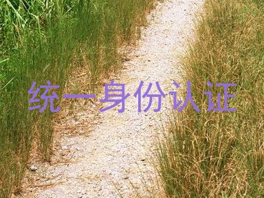 统一身份认证