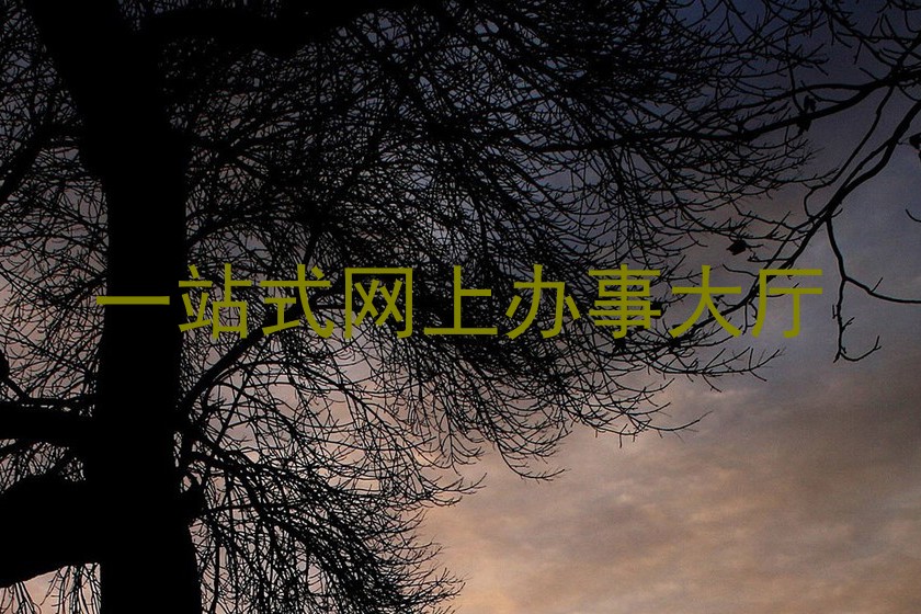 一站式网上办事大厅