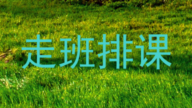 走班排课