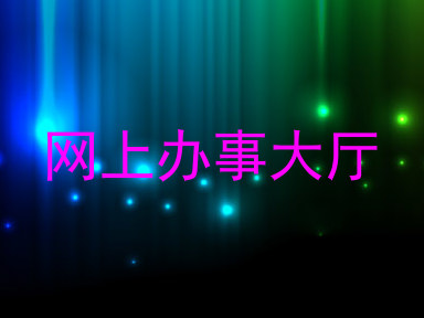 网上办事大厅