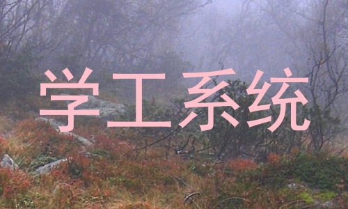 学工系统