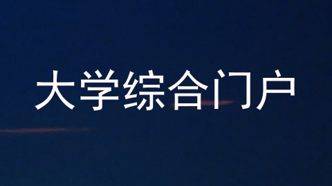 大学综合门户