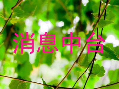 消息中台