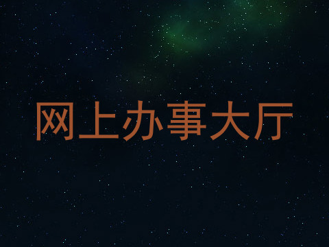 网上办事大厅