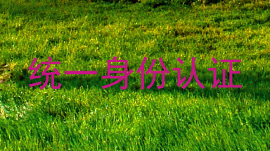 统一身份认证