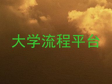大学流程平台
