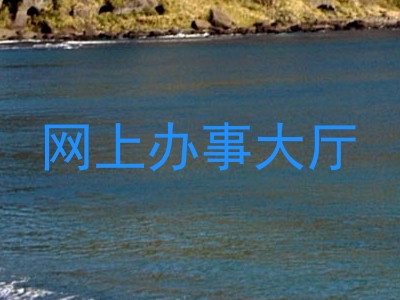 网上办事大厅