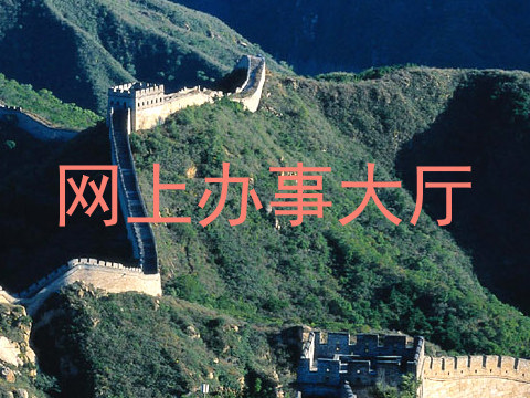 网上办事大厅