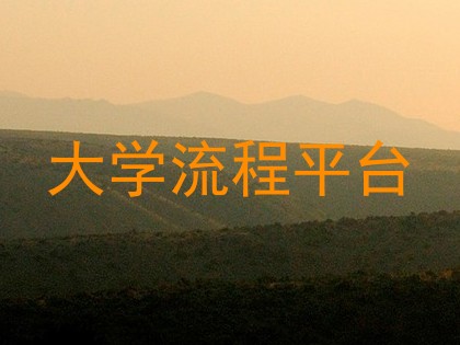 大学流程平台