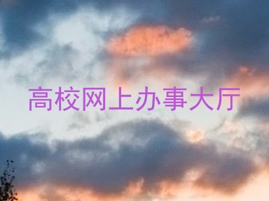 高校网上办事大厅