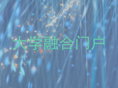 大学融合门户