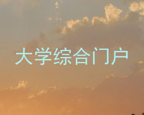 大学综合门户