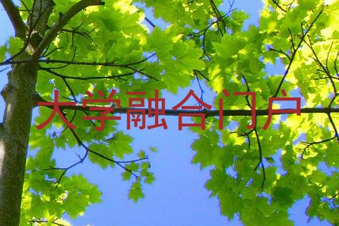 大学融合门户