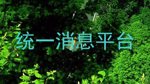 统一消息平台