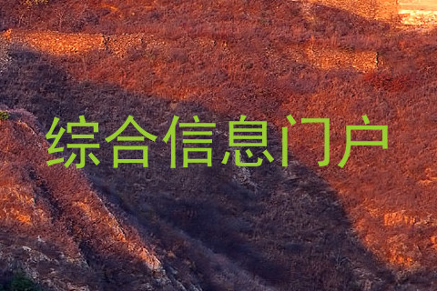 综合信息门户