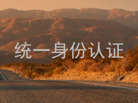统一身份认证