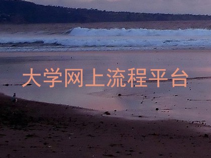 大学网上流程平台