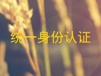统一身份认证