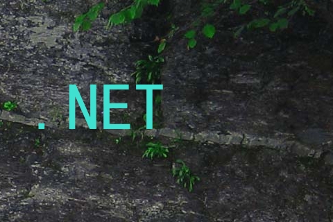 .NET