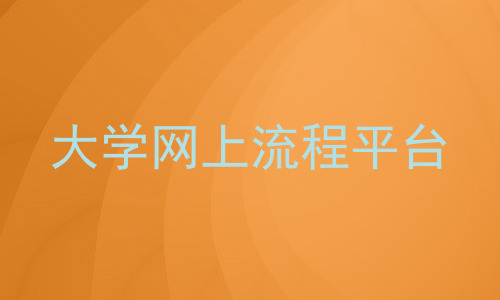 大学网上流程平台