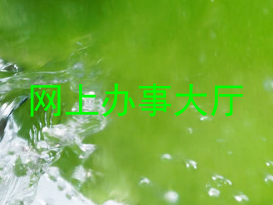 网上办事大厅