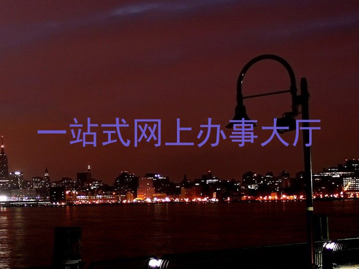 一站式网上办事大厅
