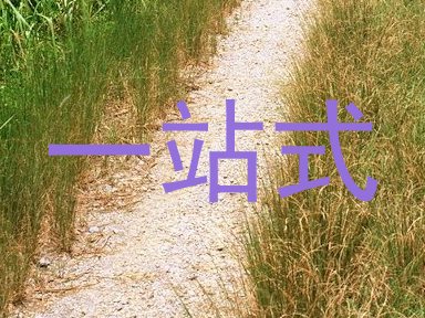 一站式